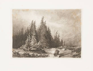Swiss Landscape