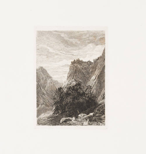 Swiss Landscape