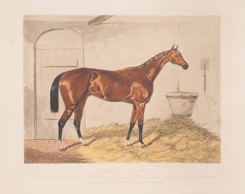 Lord Lyon