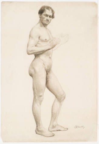 Standing Male Nude