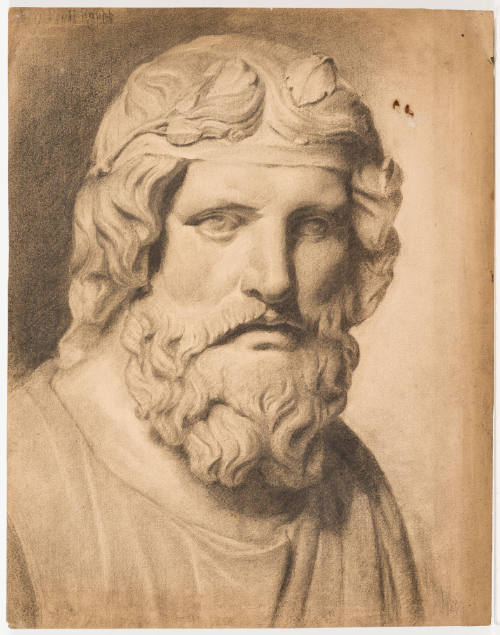 Study of Bearded Bust