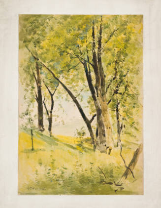 Trees