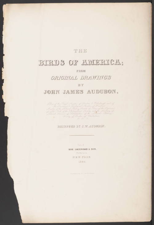 Title Page for Birds of America...(1860) Bound to Two Marbled Endpages and Two Blank Sheets