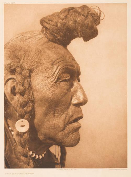 Bear Bull - Blackfoot