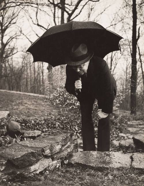 Senator Taft at His Home in Cincinnati, March 25, 1939