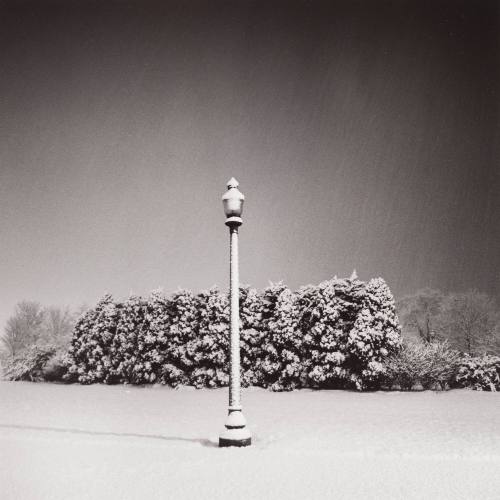 Lamp Post, January Snowfall, Belle Isle, Detroit
