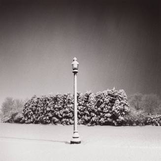 Lamp Post, January Snowfall, Belle Isle, Detroit