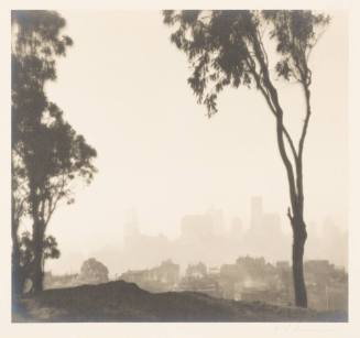 Trees, San Francisco, Russ Bldg