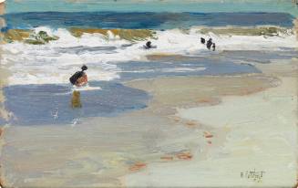 Shore and Sea with Breaking Waves