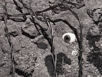 Eye and Barbed Wire