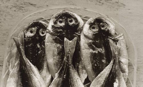 Three Fish, Yugawara, Japan
