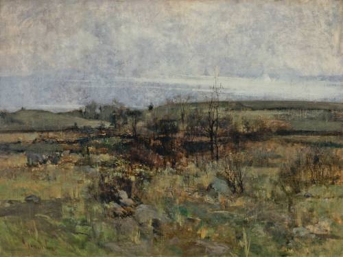Cincinnati Landscape