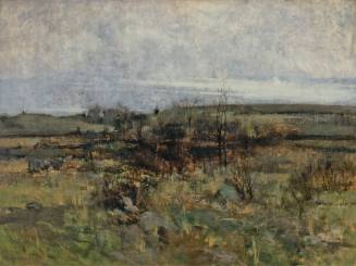 Cincinnati Landscape