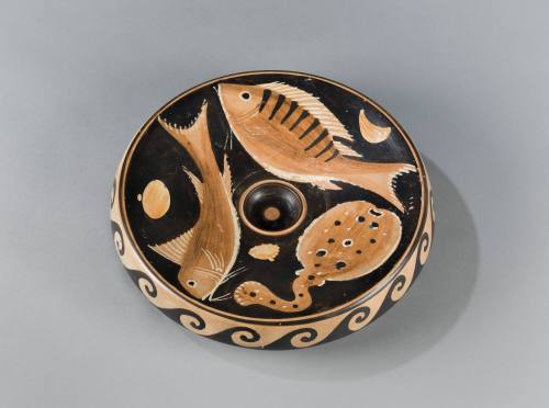Fish Plate