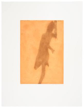 Copper Plate Nudes II (3)