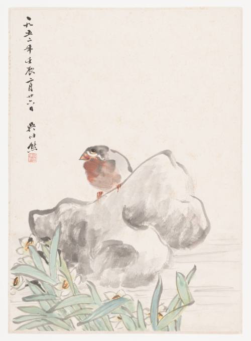 Small Bird and Daffodils