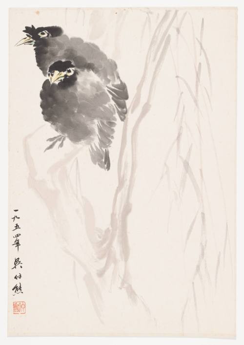 Two Crows Next to a Willow