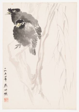 Two Crows Next to a Willow