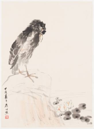 A Black Bird Next to a Lotus Pond