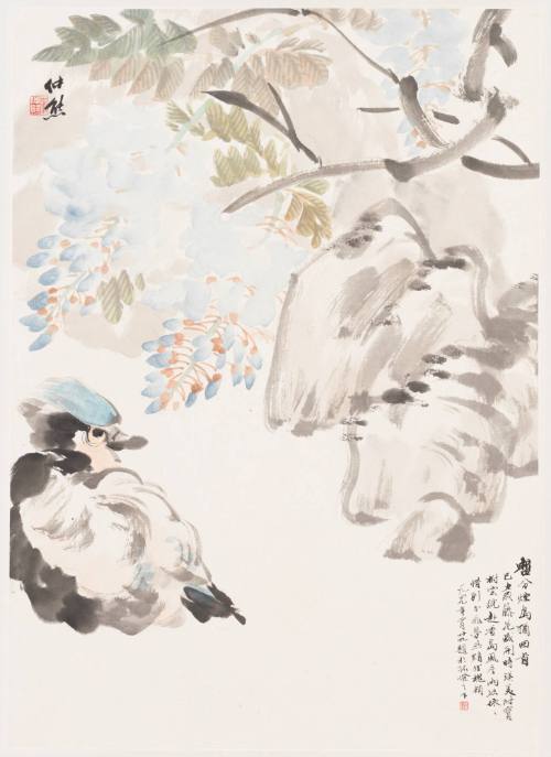 Wisteria and Mandarin Duck