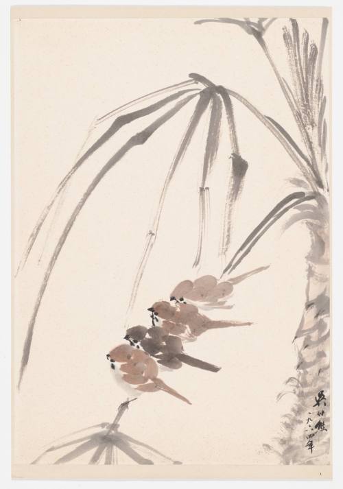 Four Sparrows