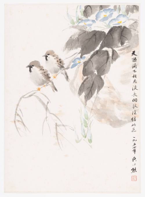 Two Sparrows and Morning Glory