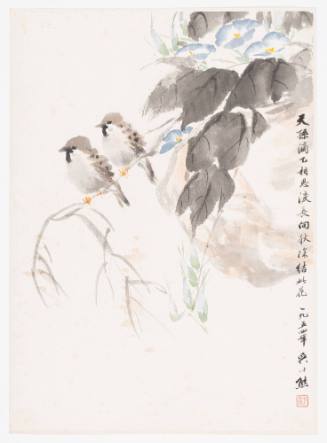 Two Sparrows and Morning Glory
