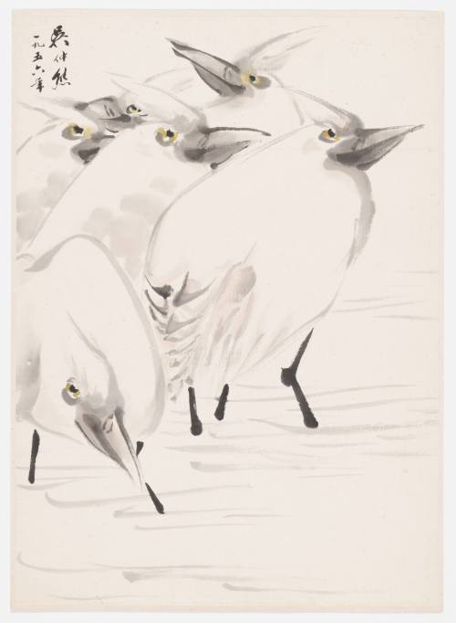 Six Egrets