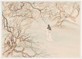 A Scholar in the Woods