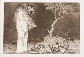 The Folly of Fear / Disparate De Miedo (Sottise De Frayeur)