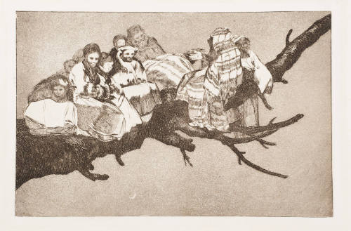 Ridiculous Folly / Disparate Fidiculo (Etrange Sottise)