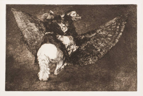 Flying Folly / Disparate Volante (Volante Sottise)