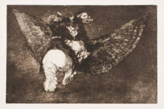 Flying Folly / Disparate Volante (Volante Sottise)