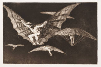 A Way of Flying / Modo De Volar (Maniere De Voler)