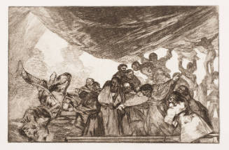 Evident Folly / Disparate Claro (Pure Sottise)