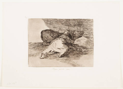 He Exults in His Penknife