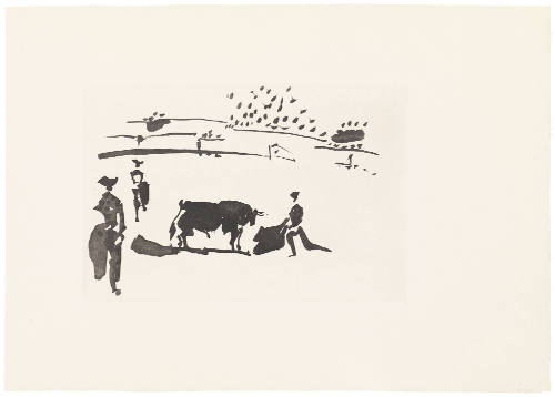 Provoking a Charge with the Large Cape (Citando al Toro con la Capa)