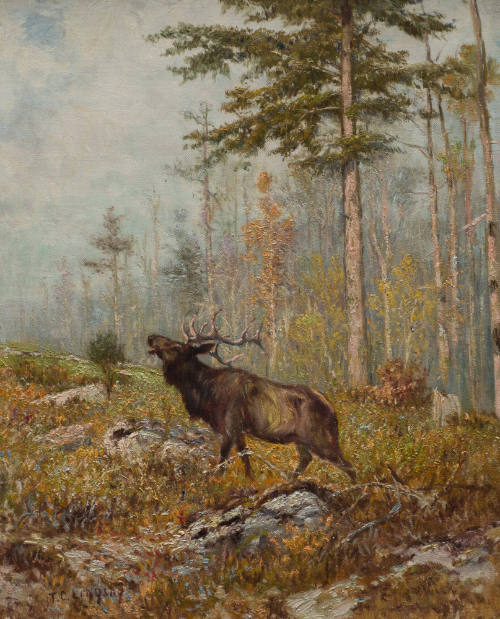 Landscape with Elk