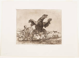 The Carnivorous Vulture