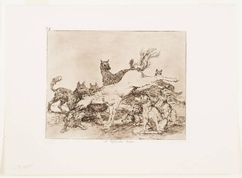 He Defends Himself Well