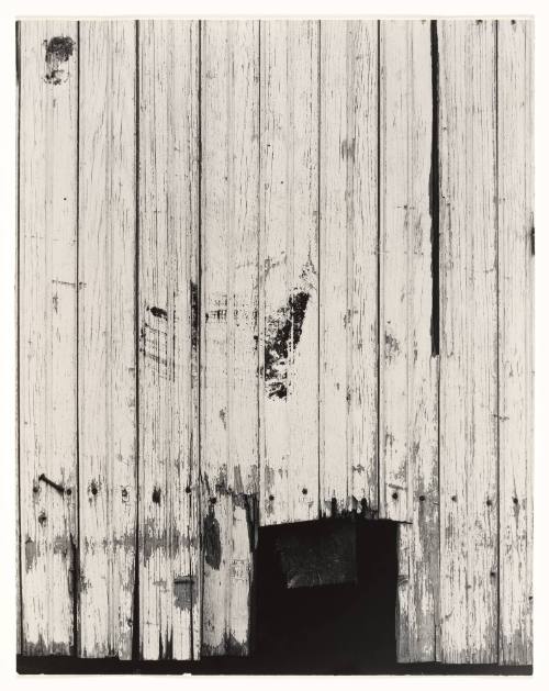Untitled (Old Wooden Wall)