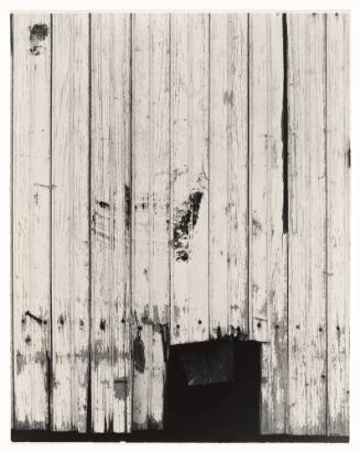 Untitled (Old Wooden Wall)