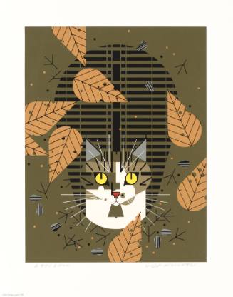 Birdwatcher