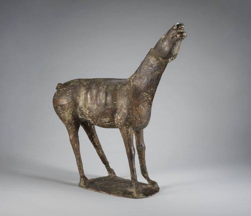Cavallo (Horse)