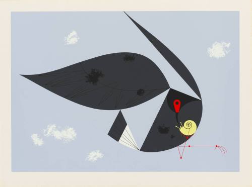 Everglade Kite
