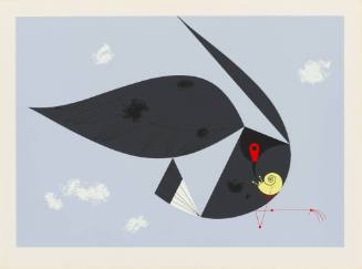 Everglade Kite