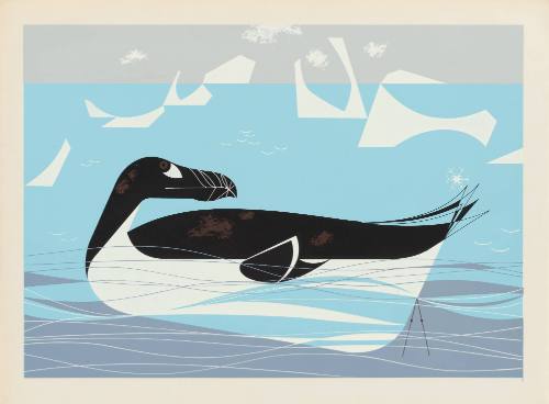 Great Auk