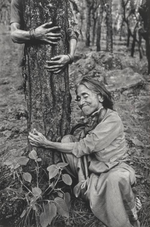 Chipko Tree Huggers of the Himalayas #34