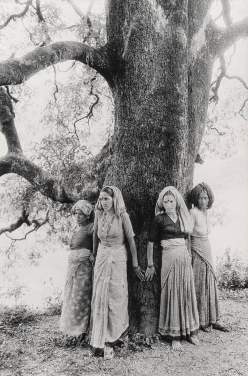 Chipko Tree Huggers of the Himalayas