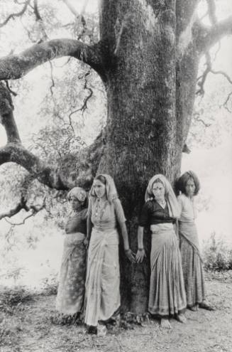 Chipko Tree Huggers of the Himalayas